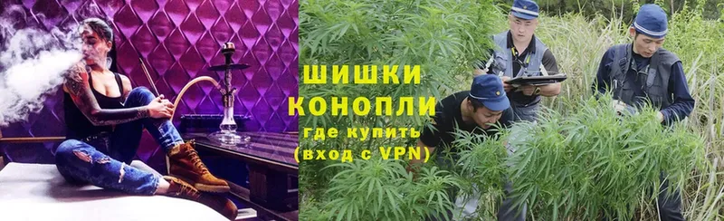 где купить наркотик  Могоча  Бошки марихуана OG Kush 